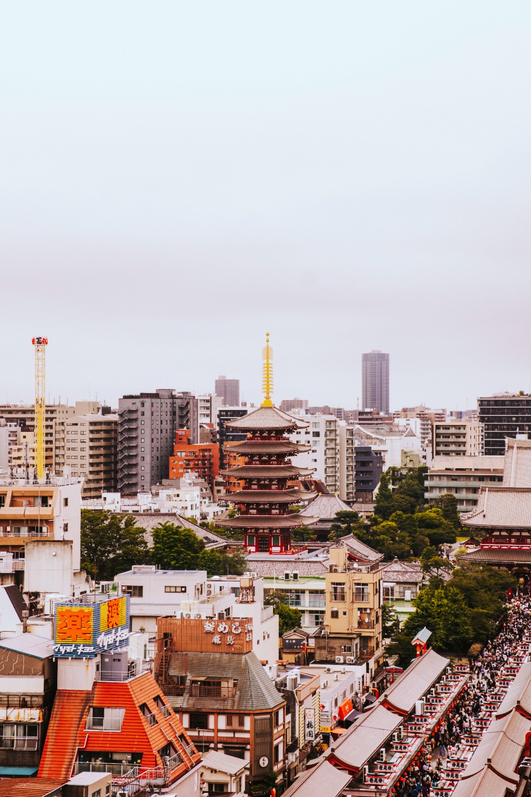 credited to “Francesca Ricca”